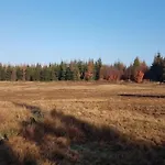 6 Person In *